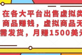 在各大平台出售虚拟类商品赚钱，虚拟商品无需发货，月赚1500美元