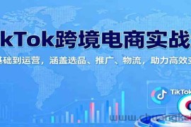 TikTok跨境电商实战课：从基础到运营，涵盖选品、推广、物流，助力高效变现