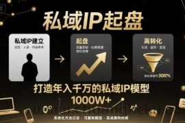 私域IP起盘，私域ip建立、起盘、高转化，打造年入千万的私域ip模型