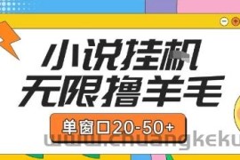 最新小说挂G自撸玩法本人实操单窗口20-50+可矩阵放大操作【揭秘】
