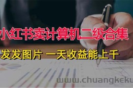 （12228期）小红书卖计算机二级合集，发发图片 一天收益能上千