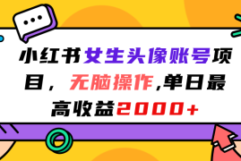 （7036期）小红书女生头像账号项目，无脑操作“”单日最高收益2000+