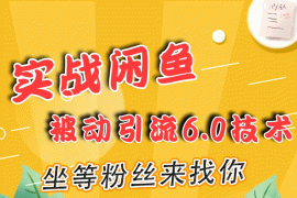 （1644期）实战闲鱼被动引流6.0技术，坐等粉丝来找你，打造赚钱的ip(16节课+话术指导)