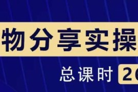 大木好物分享短视频运营实操班：一部手机从零到一带货实操赚钱（26节课时）