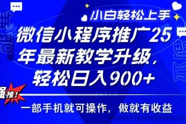 （14084期）2025年微信小程序推广，最新教学升级，轻松日入900+，小白宝妈轻松上手…