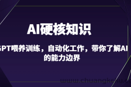 AI硬核知识-GPT喂养训练，自动化工作，带你了解AI的能力边界（10节课）