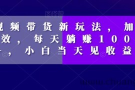 短视频带货新玩法，加个特效，每天躺赚1000+，小白当天见收益【揭秘】