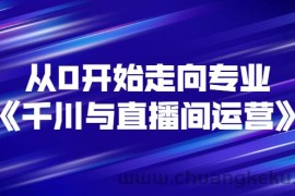 （2728期）从0开始走向专业《千川与直播间运营》93节视频课程