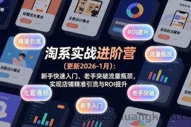 （17076期）淘系实战进阶营(更新2026-1月)：新手快速入门、老手突破流量瓶颈，实现店铺精准引流与ROI提升