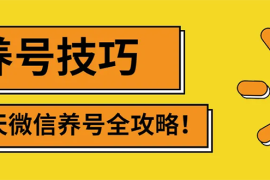 （2729期）2022年最新微信无限制注册+养号+防封解封技巧（含文档+视频）