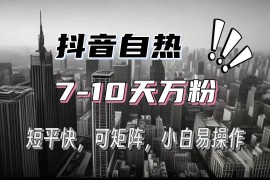 （13454期）抖音自热涨粉3天千粉，7天万粉，操作简单，轻松上手，可矩阵放大