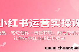 小红书运营实操课：选品、笔记创作、流量获取、起号变现等，让你在小红书轻松获收益