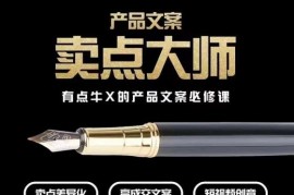 产品文案【卖点大师】高转化电商，有点牛X的产品文案必修课