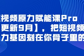 （3888期）短视频原力赋能课Pro【更新9月】，把短视频能力基因刻在你骨子里的课