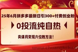 （14989期）25年6月拼多多最新日引300+付费创业粉，0投流纯自热 卖课月变现六位数方法