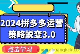 2024拼多多运营策略蜕变3.0-提升拼多多认知、制定运营策略、实现盈利收割等