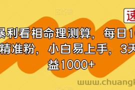 暴利看相命理测算，每日100+精准粉，小白易上手，3天收益1000+【揭秘】