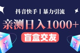 （4270期）亲测日收益1000+的交友盲盒副业丨有手就行的抖音快手暴力引流