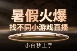 暑假火爆找不同小游戏直播间，小白秒上手【揭秘】