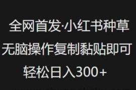 全网首发，小红书种草无脑操作，复制黏贴即可，轻松日入3张