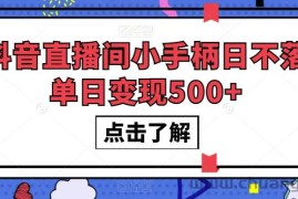 抖音直播间小手柄日不落单日变现500+【揭秘】