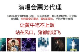 （12111期）演唱会门票代理，2024年低价票，小白能上手，手把手教你卖票，日入2000+