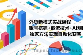 （16496期）外贸新模式实战课程，账号搭建+截流技术+AI矩阵+独家方法实现自动化获客