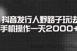 （14068期）抖音发行人野路子玩法，手机操作一天2000+