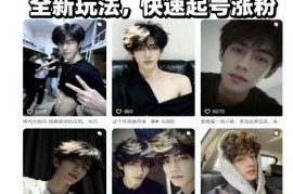 AI男颜涨粉短视频教学，全新玩法，快速起号涨粉