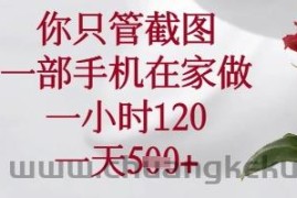 你只管截图，一部手机在家可以做，一小时120.一天5张+【揭秘】