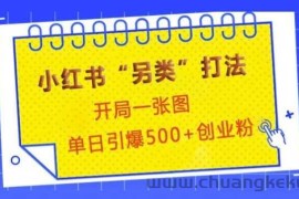 小红书“另类”打法，开局一张图，单日引爆500+精准创业粉【揭秘】