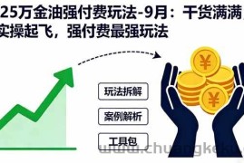 （16202期）2025万金油强付费玩法-9月：干货满满，全程实操起飞，强付费最强玩法