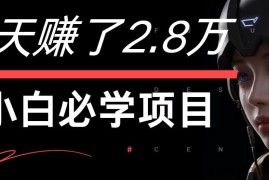 7天赚了2.8万！每单利润最少500+，轻松月入7万+小白有手就行