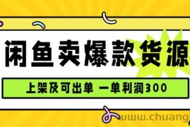 （15977期）闲鱼卖爆款货源，每天利润1000，上架即出单