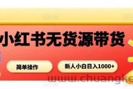 小红书无货源带货项目，简单无脑，新人小白日入多张