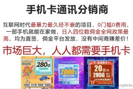 （12173期）手机卡通讯分销商 互联网时代最暴利最久经不衰的项目，0门槛0费用，…