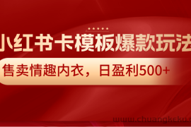 小红书卡模板爆款玩法，售卖情趣内衣，日盈利500+