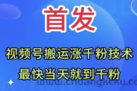 全网首发：视频号无脑搬运涨千粉技术，最快当天到千粉【揭秘】