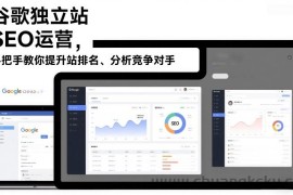 谷歌独立站SEO运营，手把手教你提升网站排名、分析竞争对手（更新2026）