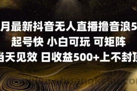 2025五月最新无人直播撸音浪单日产出5张+实操教程【揭秘】