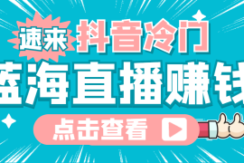 （4006期）最新抖音冷门简单的蓝海直播赚钱玩法，流量大知道的人少，可做到全无人直播