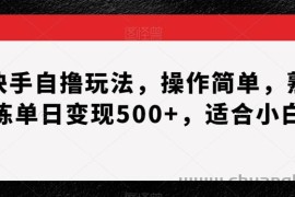 快手自撸玩法，操作简单，熟练单日变现500+，适合小白【揭秘】