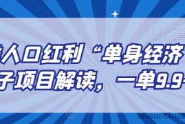 另类人口红利“单身经济”交友搭子项目解读，一单9.9-29.9【揭秘】