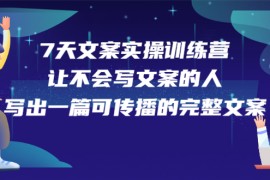 （2274期）7天文案实操训练营第17期，让不会写文案的人，写出一篇可传播的完整文案