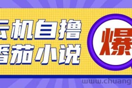 首发云手机自撸小说玩法，10块钱成本可撸200+收益操作简单【揭秘】