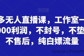 拼多多无人直播课，工作室一天打底5000利润，不封号，不垫资，不售后，纯白嫖流量