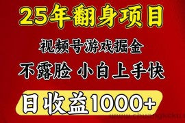 一天收益1000+ 25年开年落地好项目