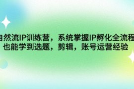 （4688期）自然流IP训练营，系统掌握IP孵化全流程，也能学到选题，剪辑，账号运营经验