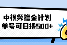 （2001期）中视频撸金计划，单号可日撸500+ 可多平台+批量操作，收益更高