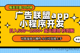 （11645期）小程序开发 广告赚钱 日入500~1000+ 小白轻松上手！